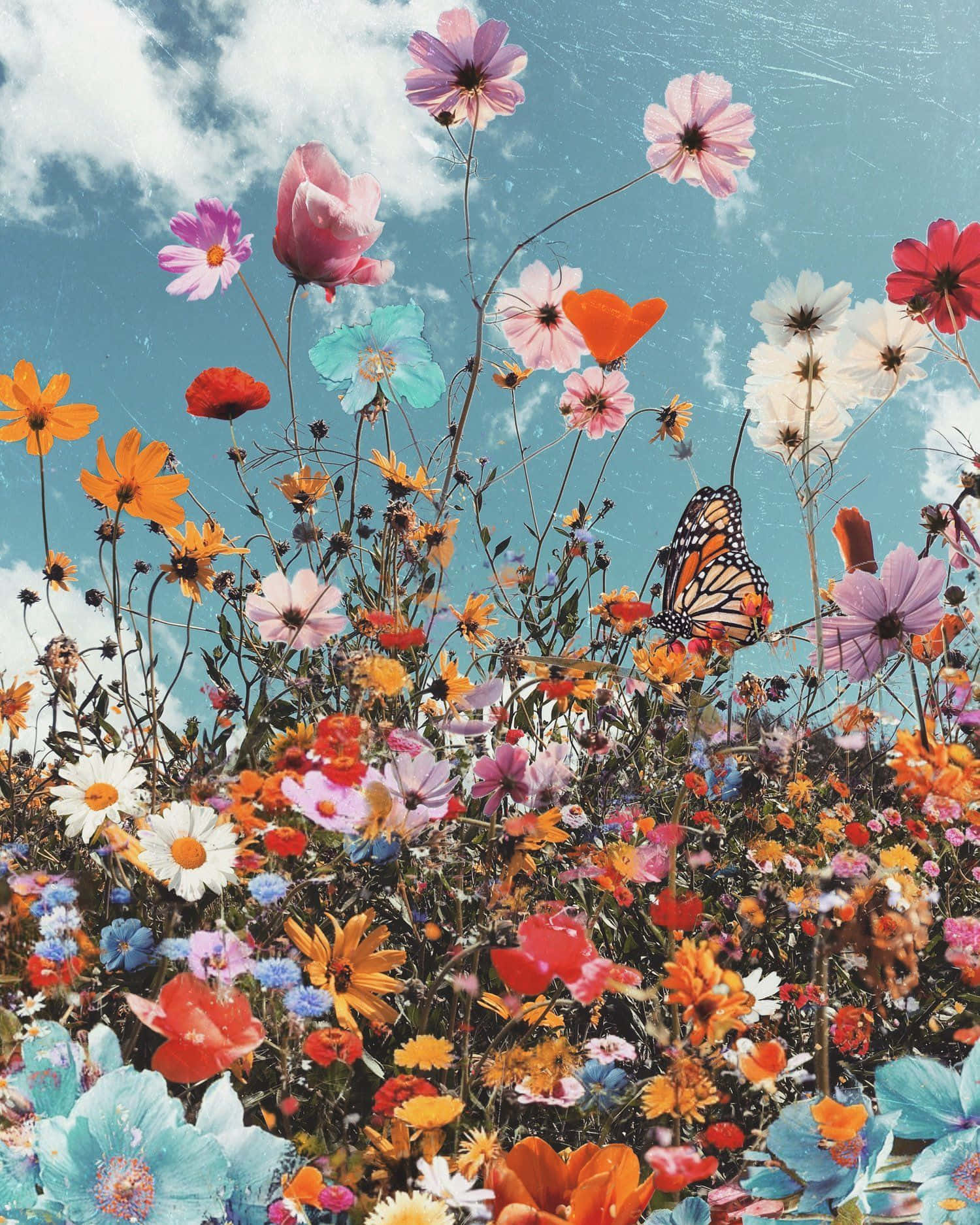 A Colorful Flower Field With Butterflies And Butterflies Background