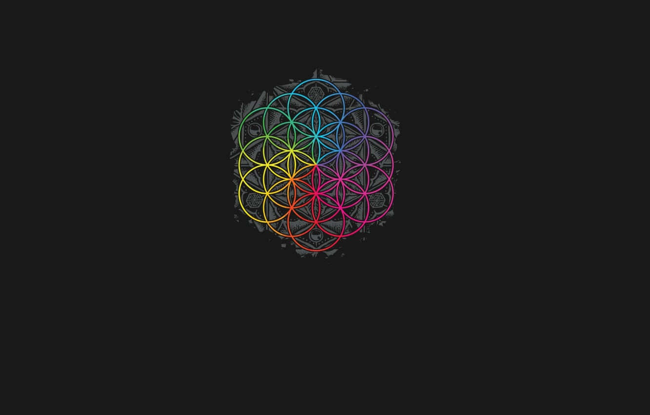 A Colorful Flower Of Life Logo On A Black Background Background
