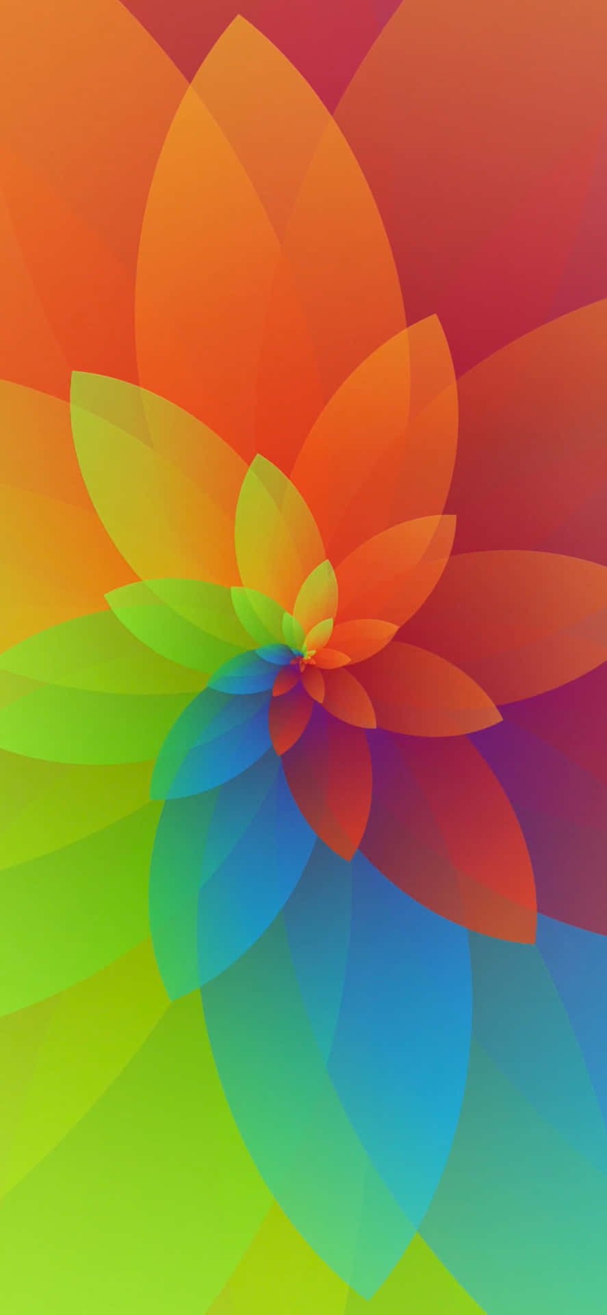 A Colorful Flower With A Rainbow Background