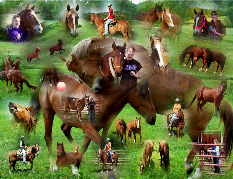 A Colorful Horse Collage Of Majestic Beauty Background