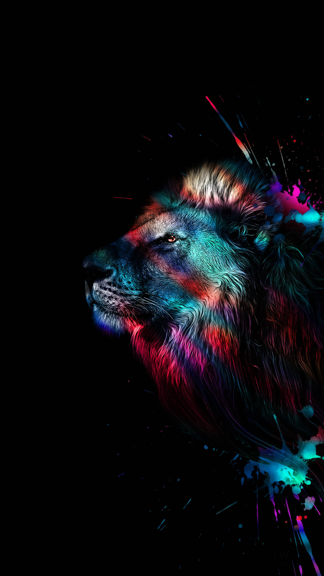 A Colorful Lion Head On A Black Background Background