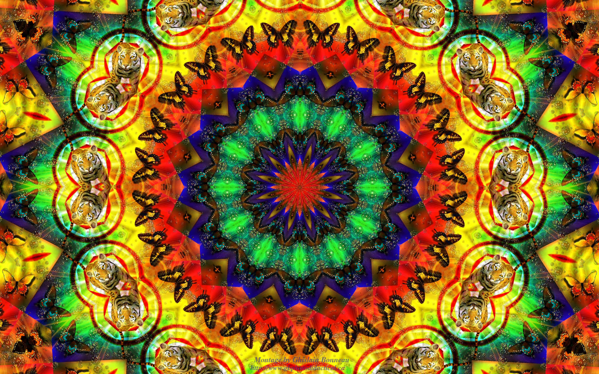 A Colorful Psychedelic Design With A Circular Pattern