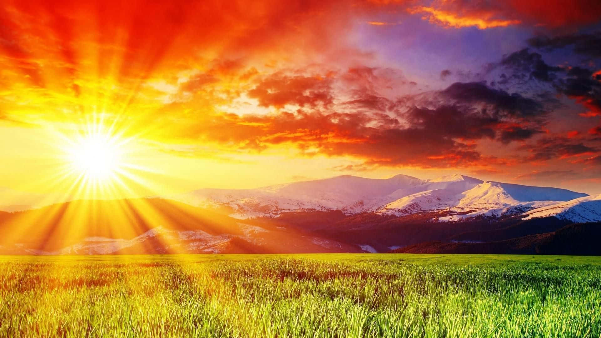 A Colorful Sun Rising Over A Green Field Background