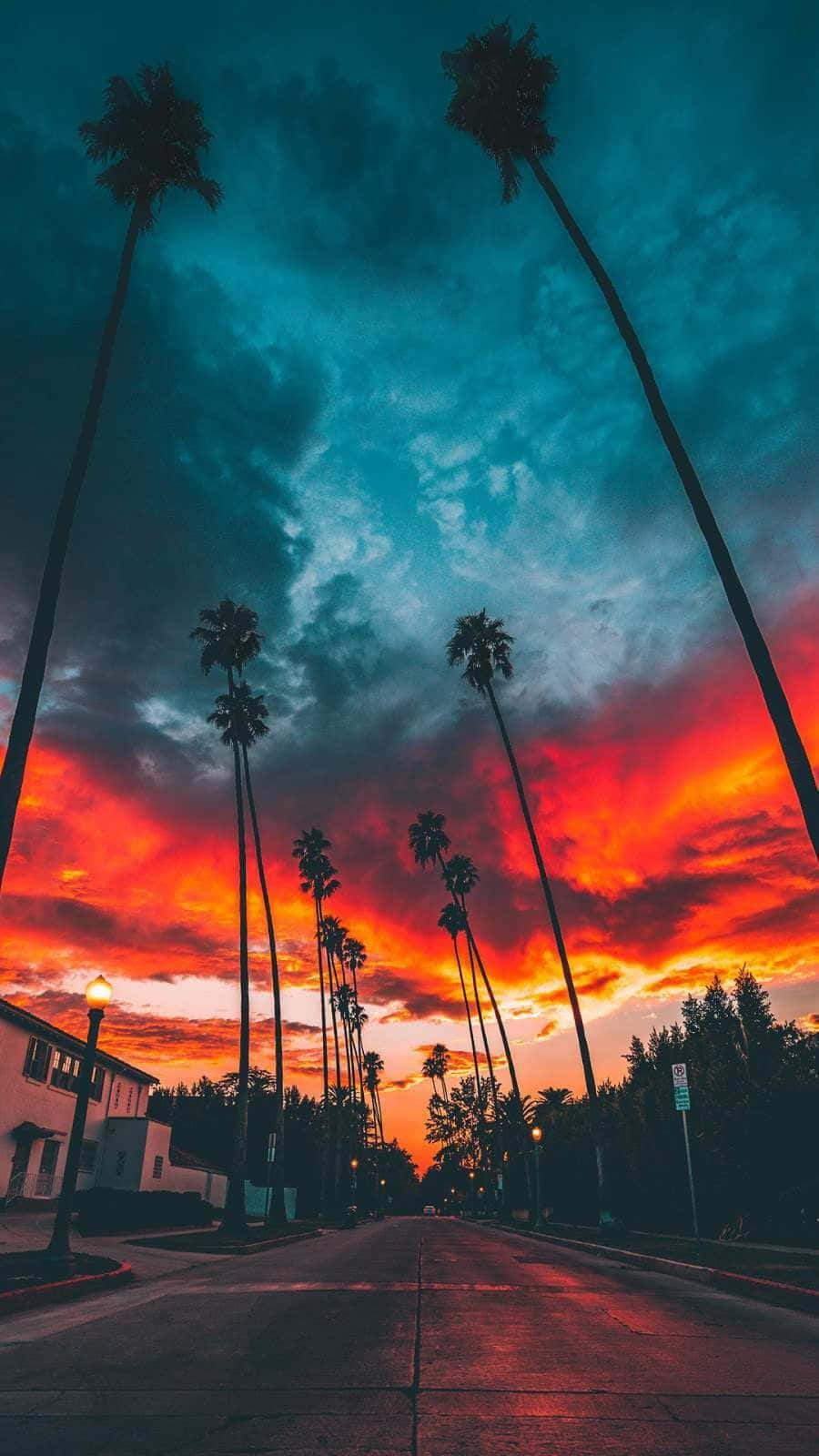 A Colorful Sunset With Palm Trees In The Background