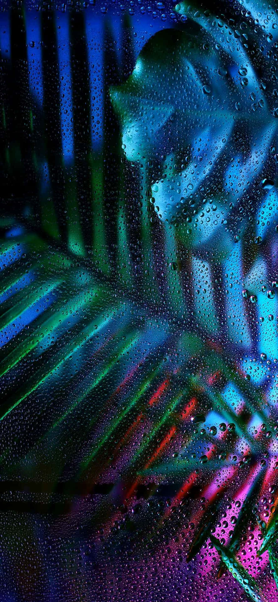 A Colorful Tropical Leaf With Water Droplets On It Background