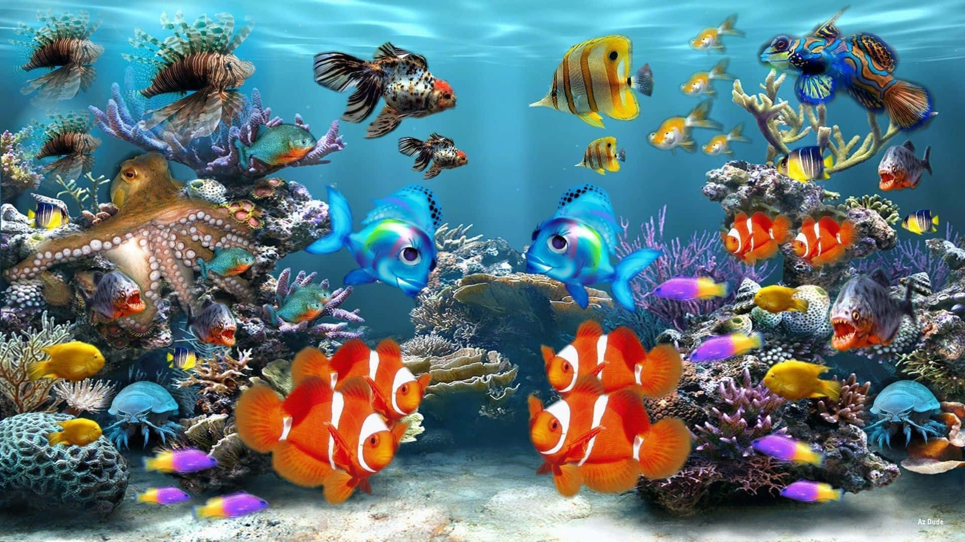 A Colorful Underwater Scene With Many Fish Background