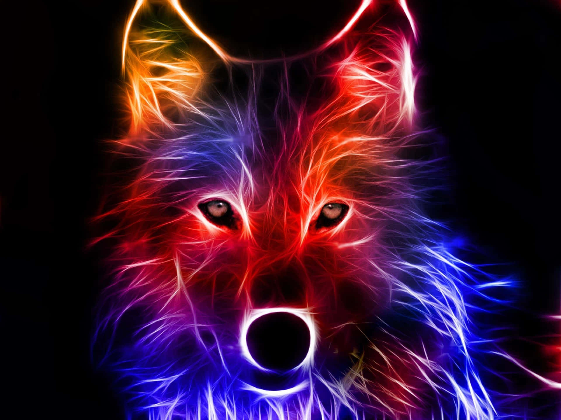 A Colorful Wolf With A Black Background Background
