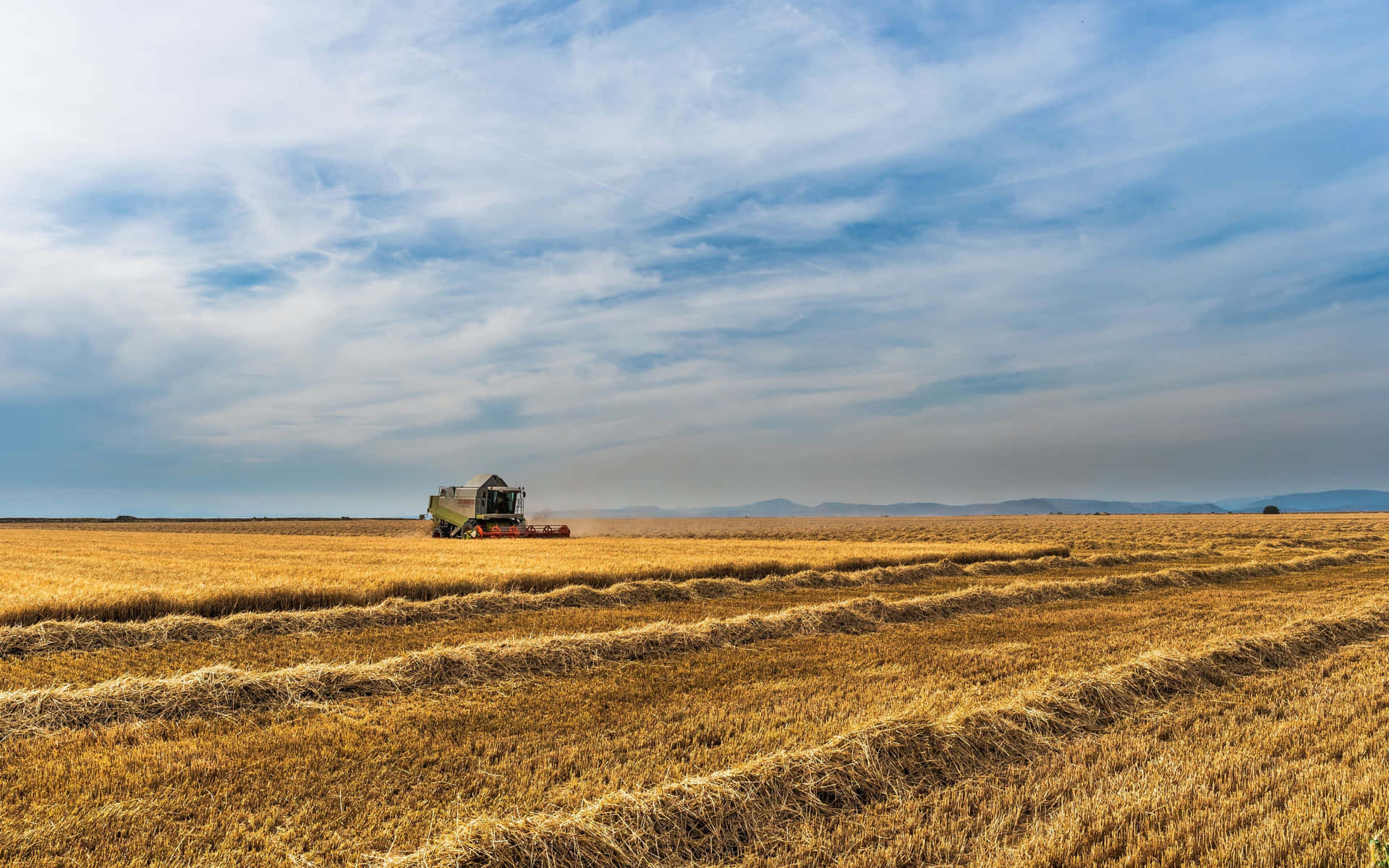 A Combine Harvester In A Field