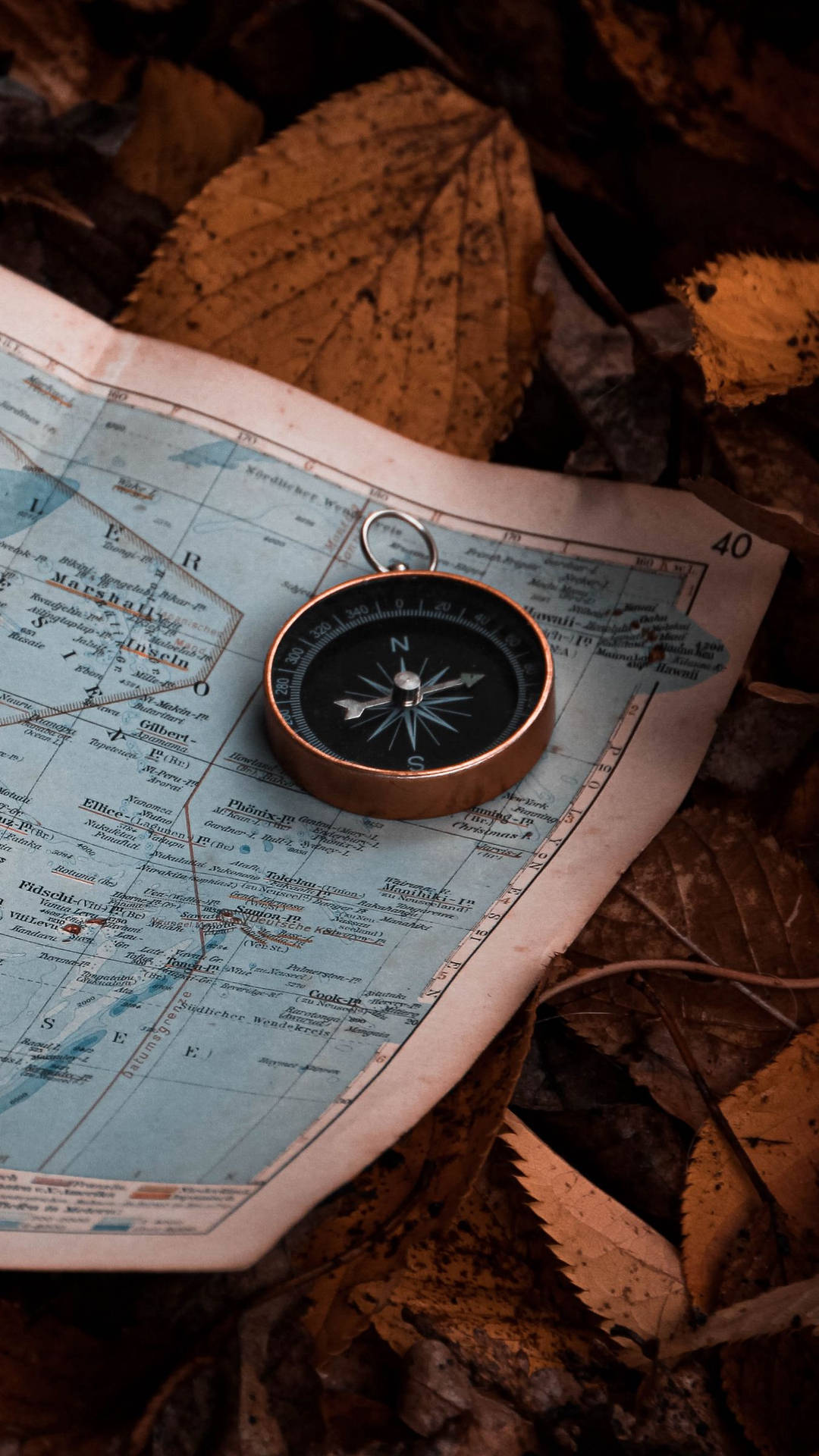 A Compass On A Map With Leaves Background