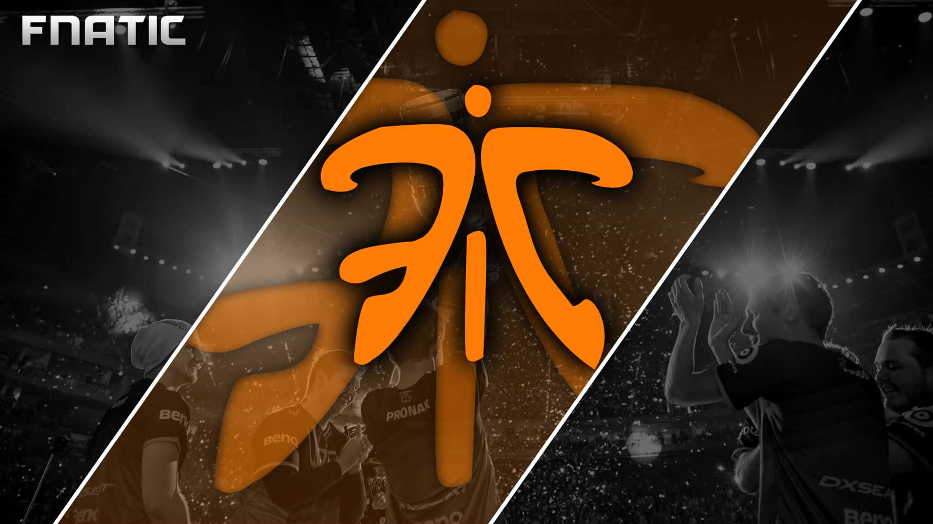 A Competitive Gaming Triumph With Team Fnatic Background