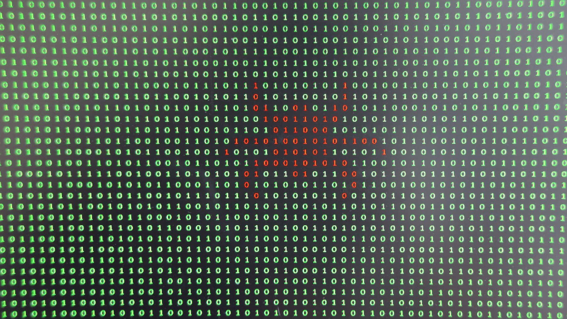 A Computer Screen With A Red And Green Bug Background