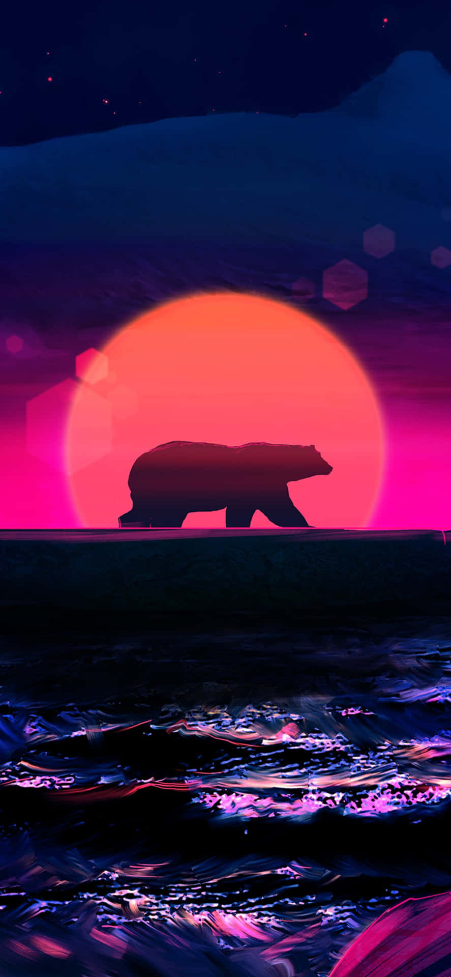 A Cool Bear Enjoying The Beautiful Weather Background