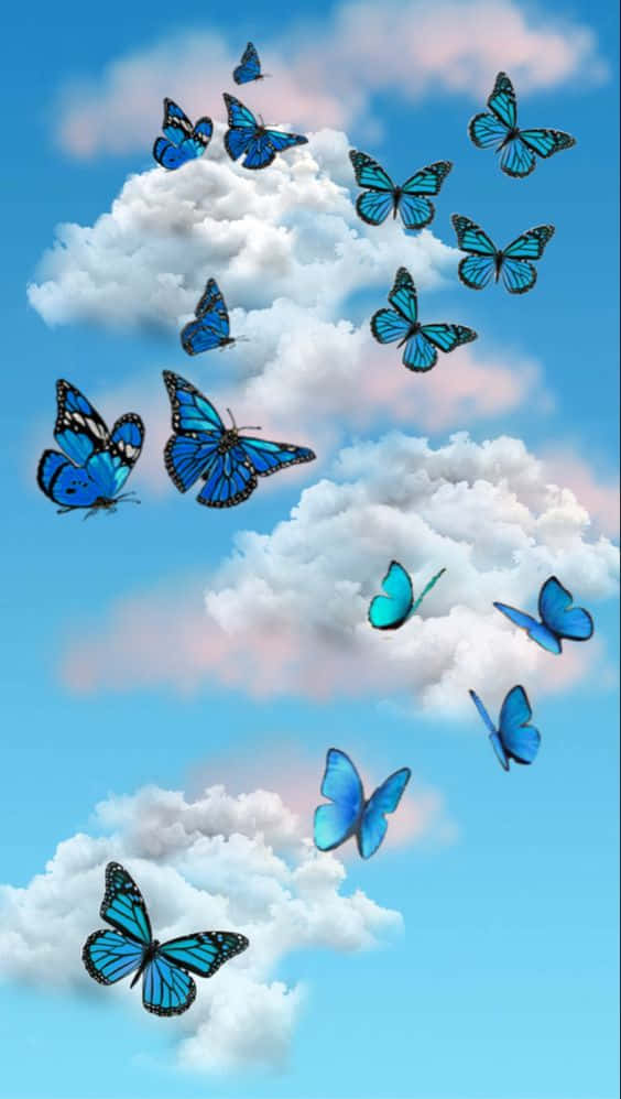 A Cool Blue And Pink Butterfly On A Leaf. Background