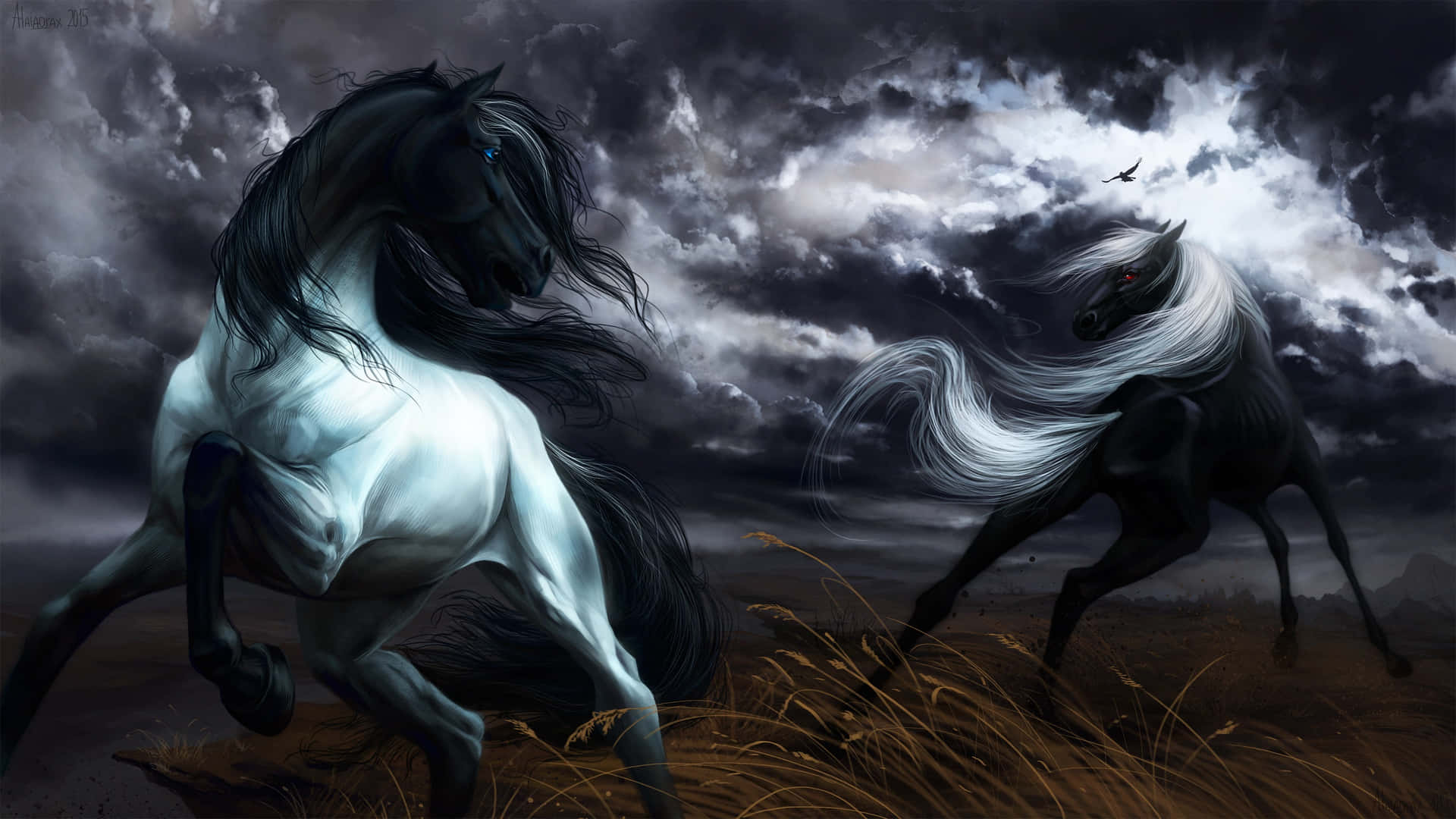 A Cool Horse Background