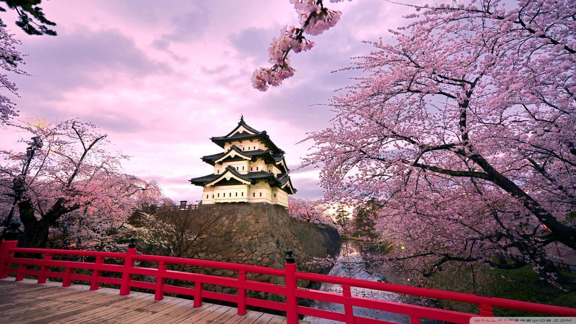 A Cool Japanese Tree Beside A Pagoda Background