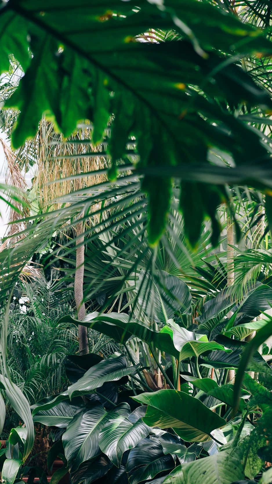 A Couple Is Sitting In A Tropical Garden