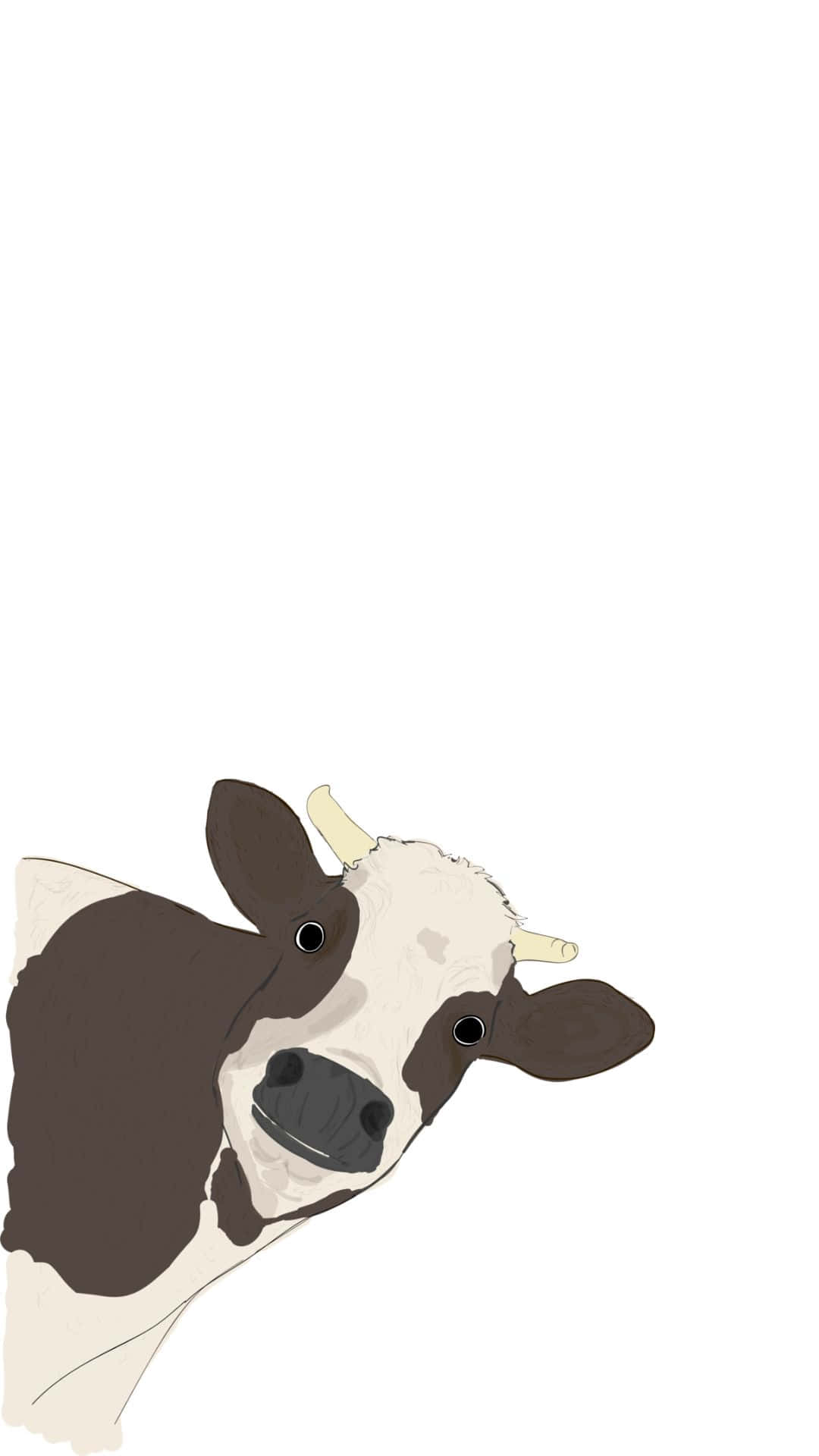 A Cow Is Looking Up Background