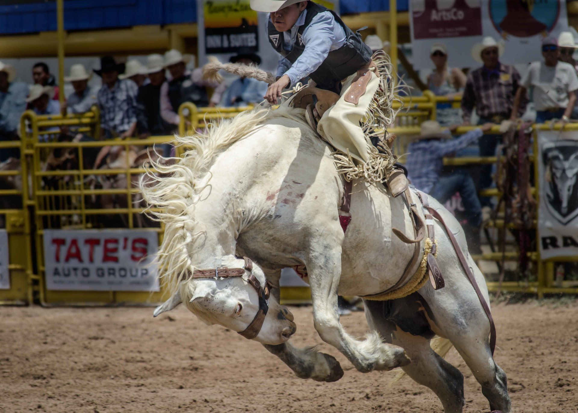 A Cowboy Attempting A Bronco Ride In A Rodeo Competition. Background