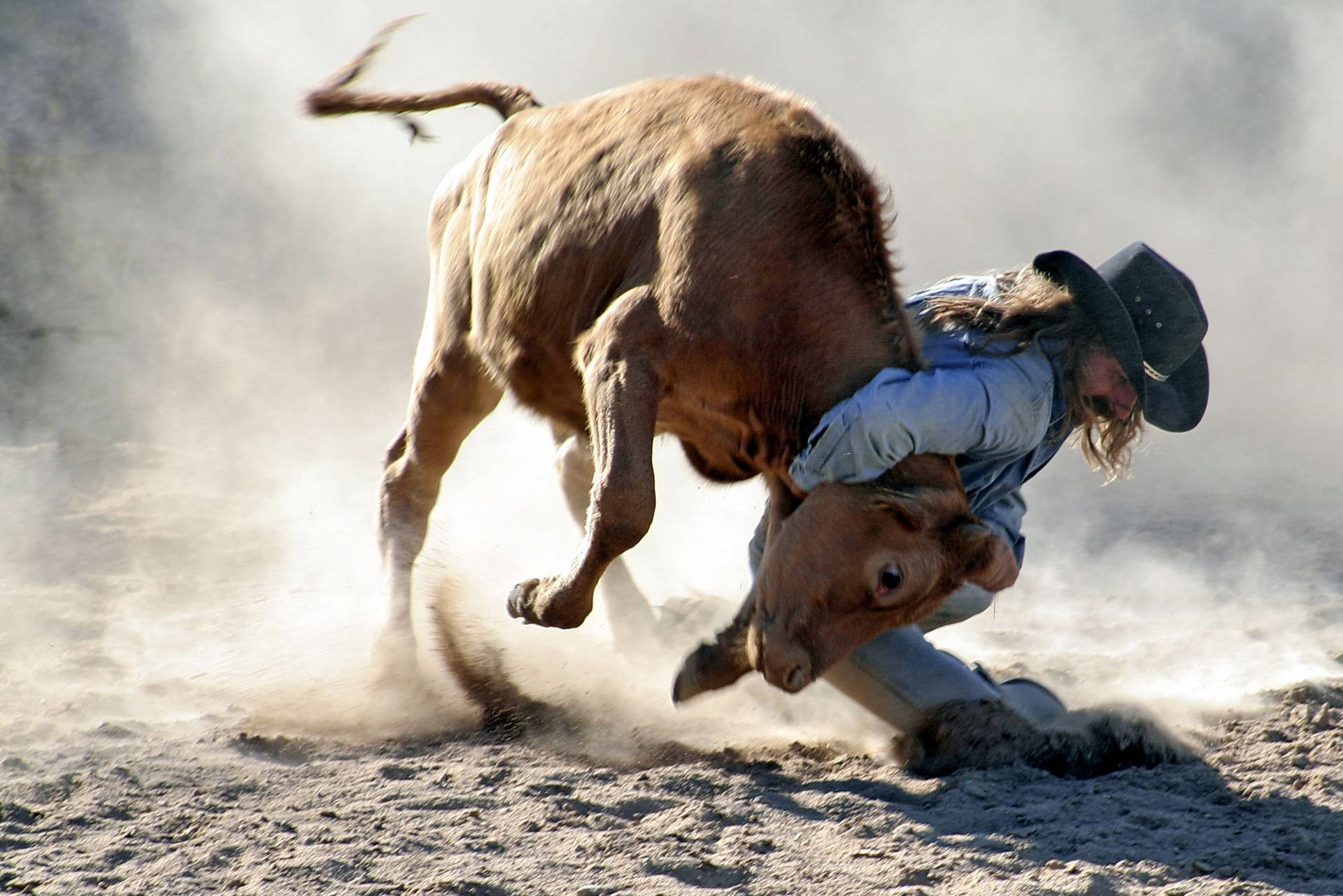 A Cowboy Is Kicking A Cow Background