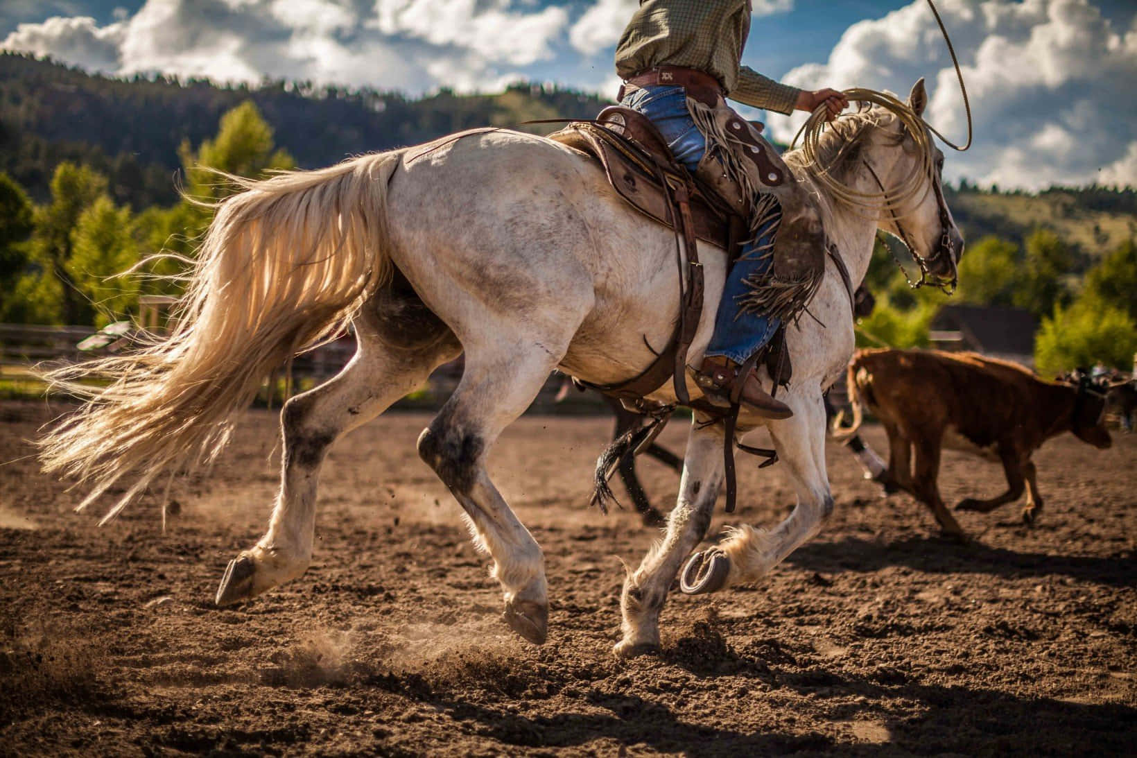 A Cowboy Riding A Horse Background