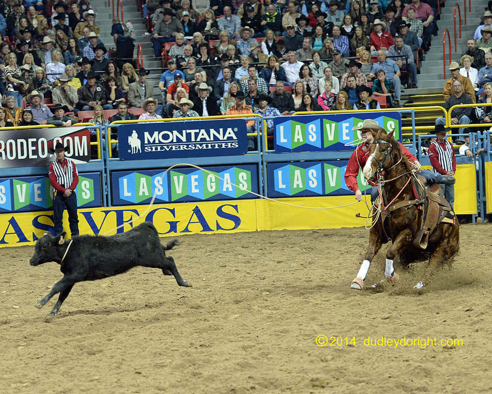 A Cowboy Roping A Horse Background