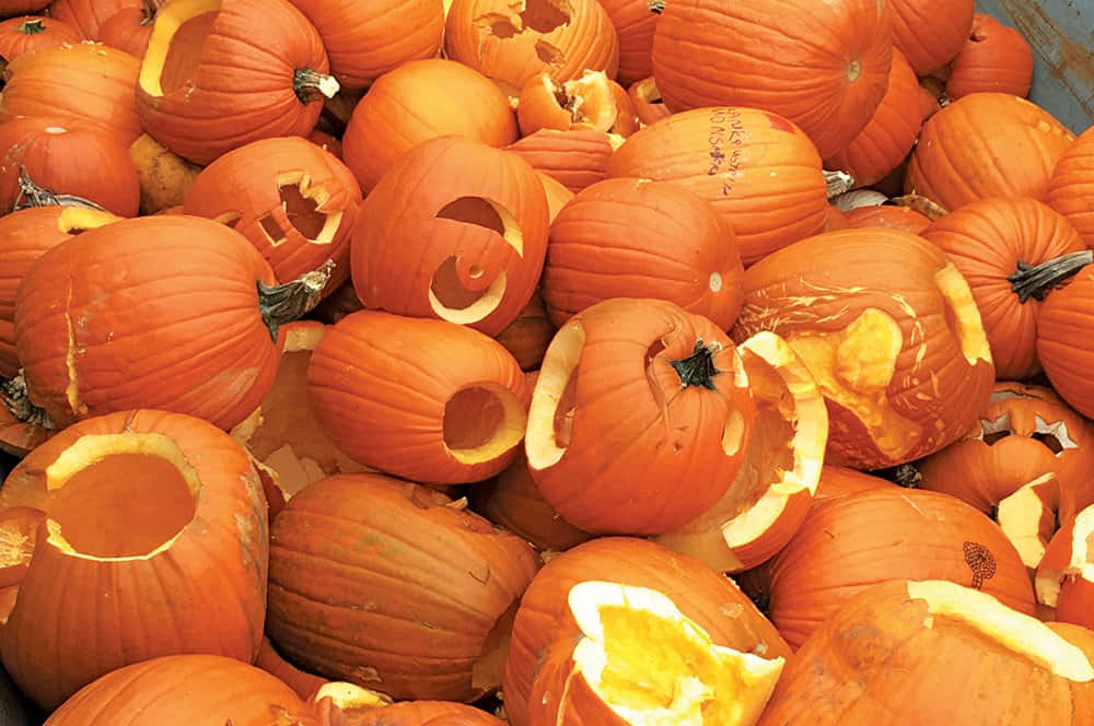 A Cozy Autumn Scene With Colorful Fall Pumpkins Displayed On Hay Bales Background