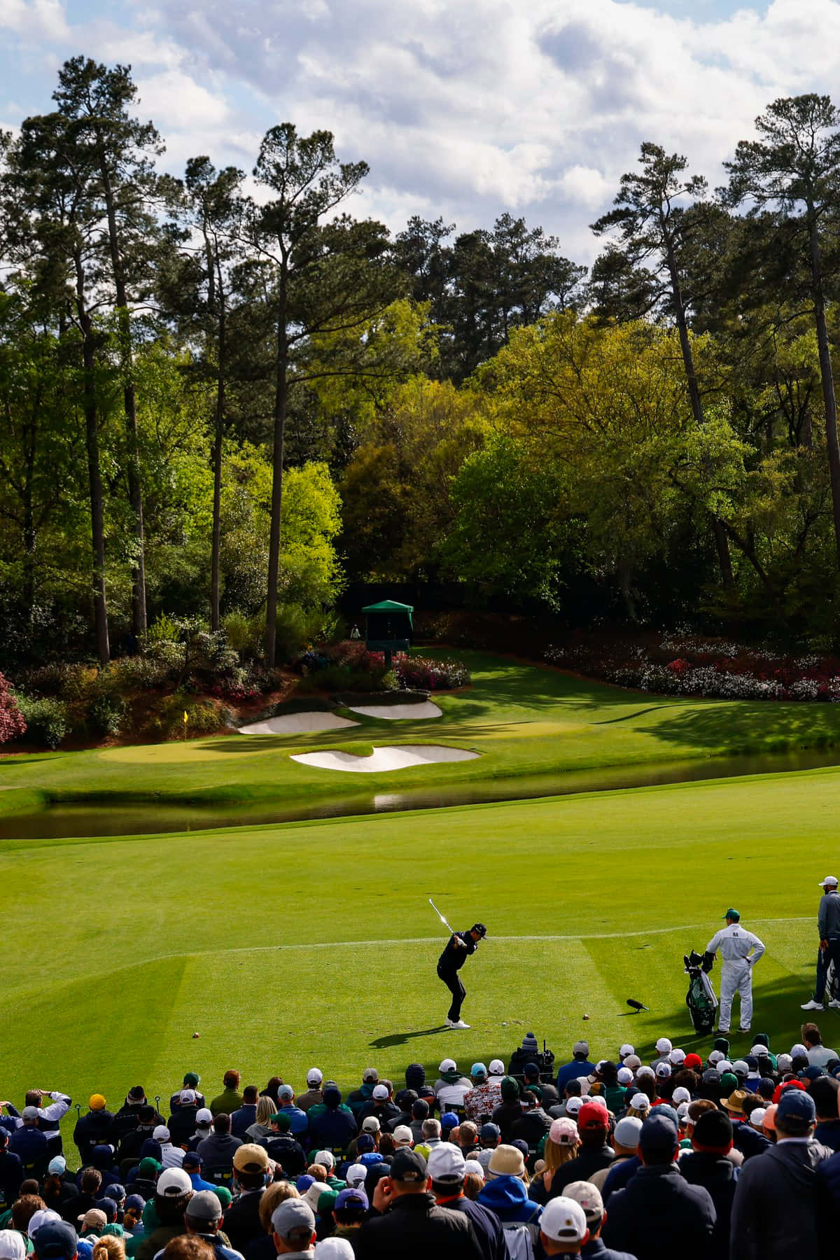 A Crowd Watching At Augusta National Iphone Background