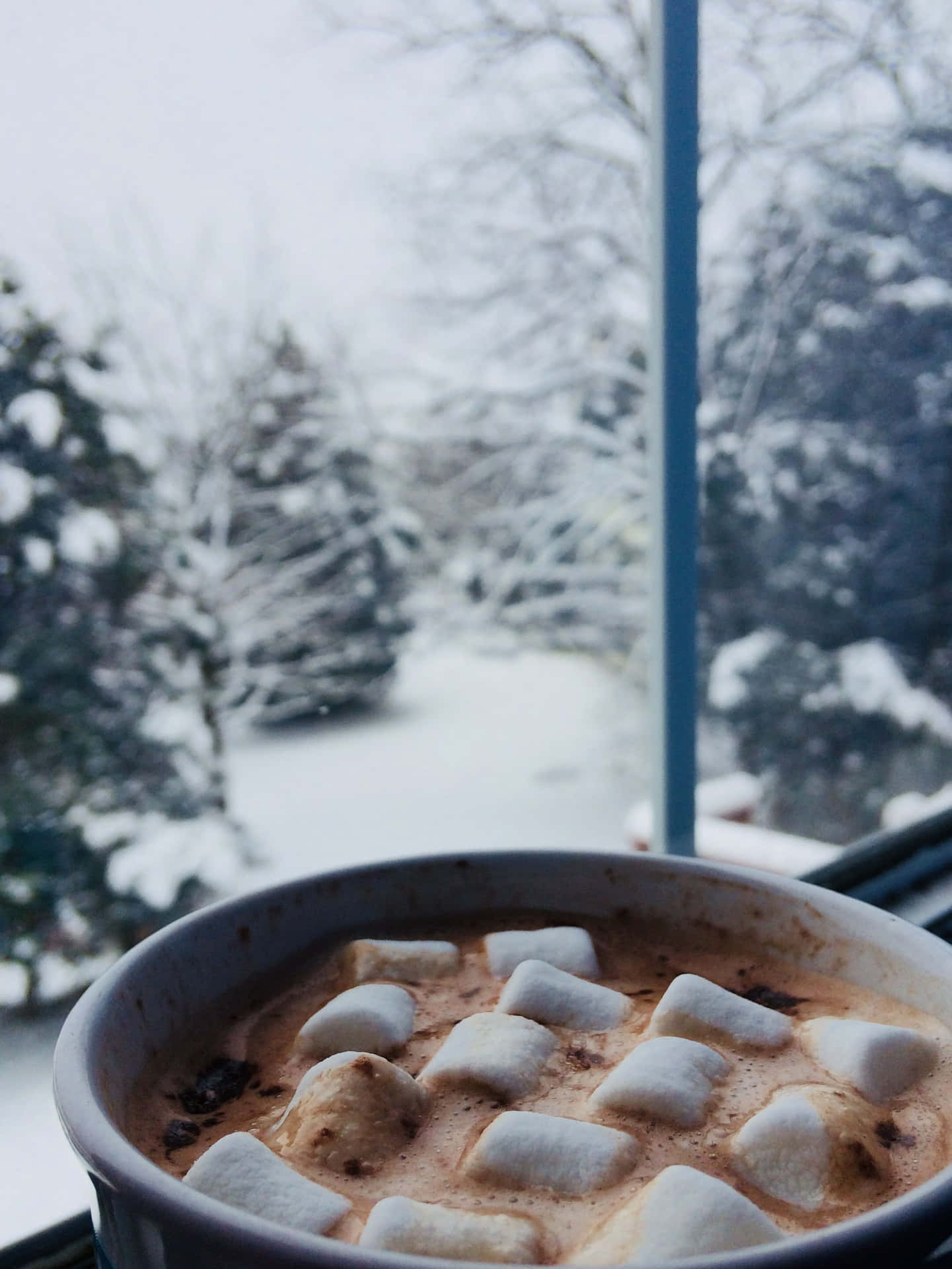 A Cup Of Hot Chocolate With Marshmallows Background