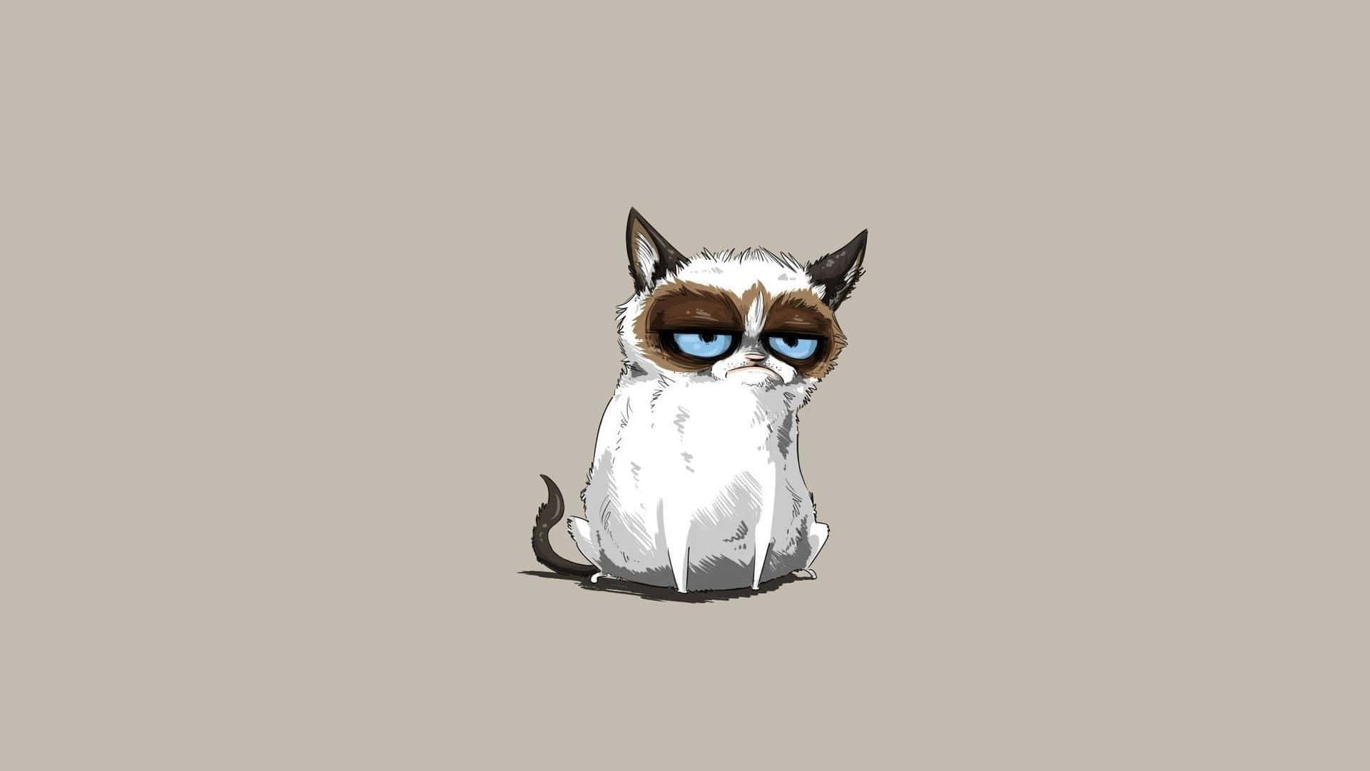 A Curious Cat Glaring: Grumpy In All Its Glory Background