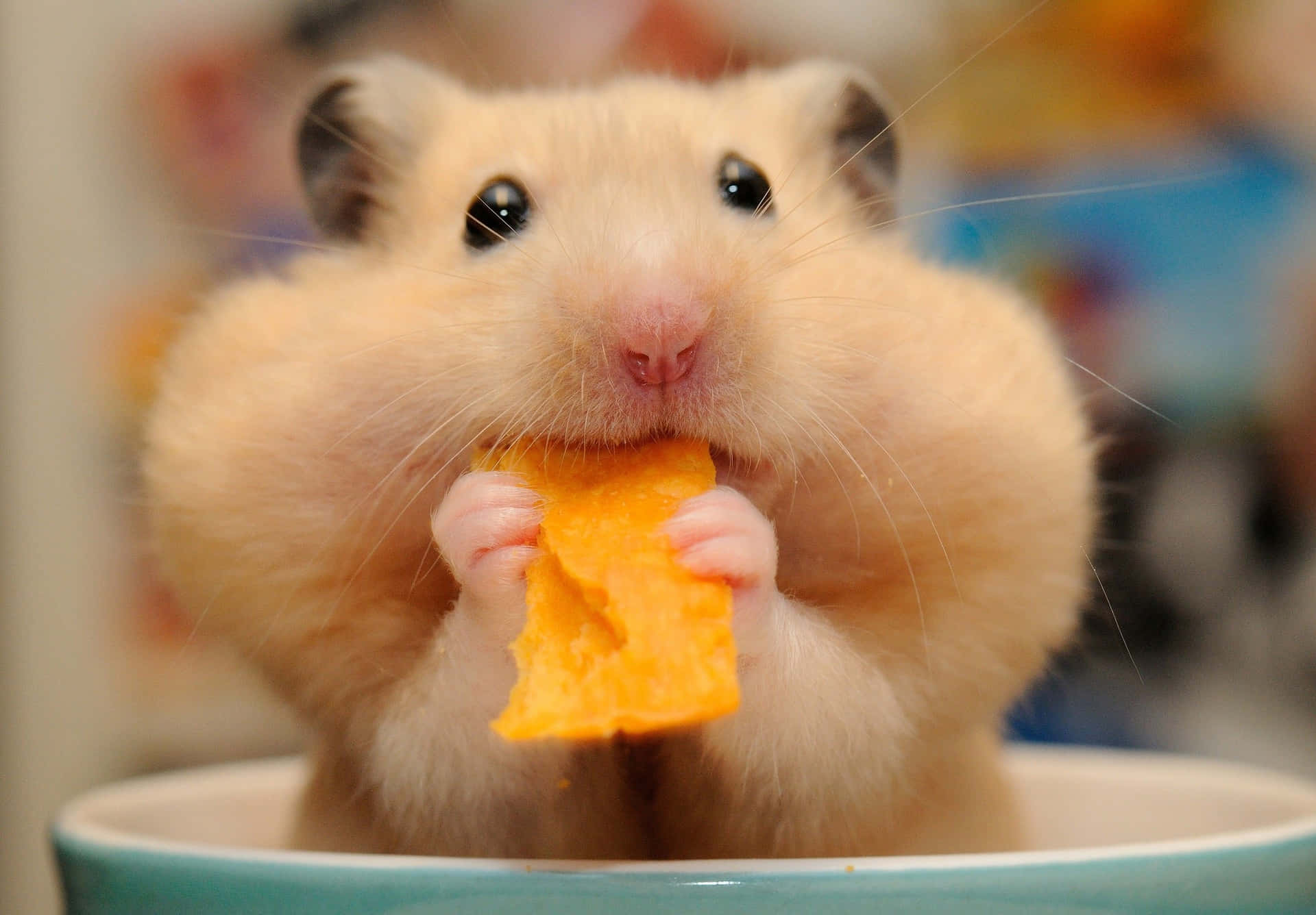 A Curious Mouse Indulging In A Delicious Potato Chip Feast. Background