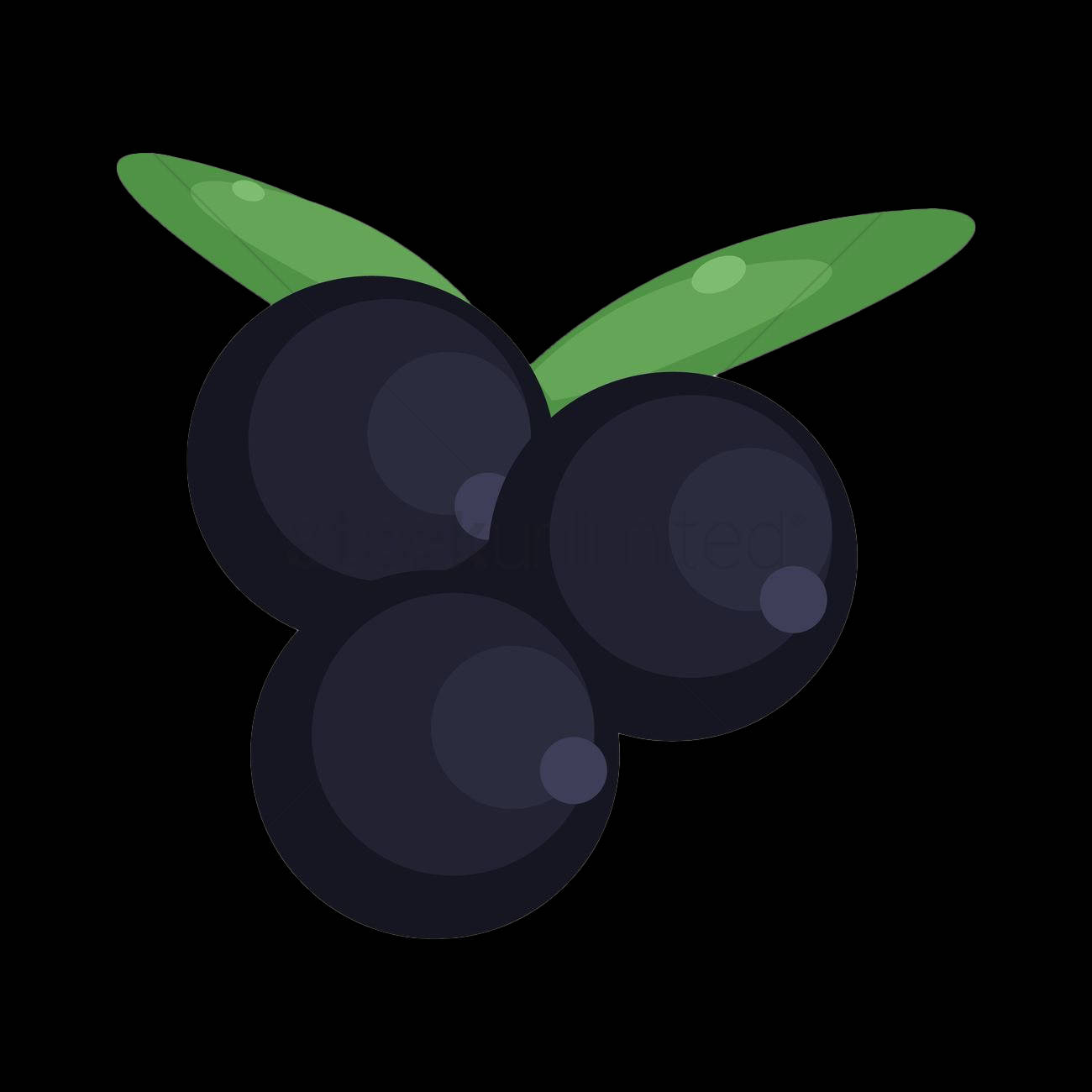 A Cute Blackcurrant Background