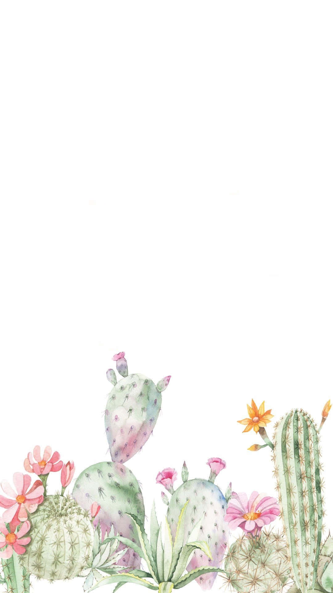A Cute Cactus Ready To Brighten Up Your Home Background