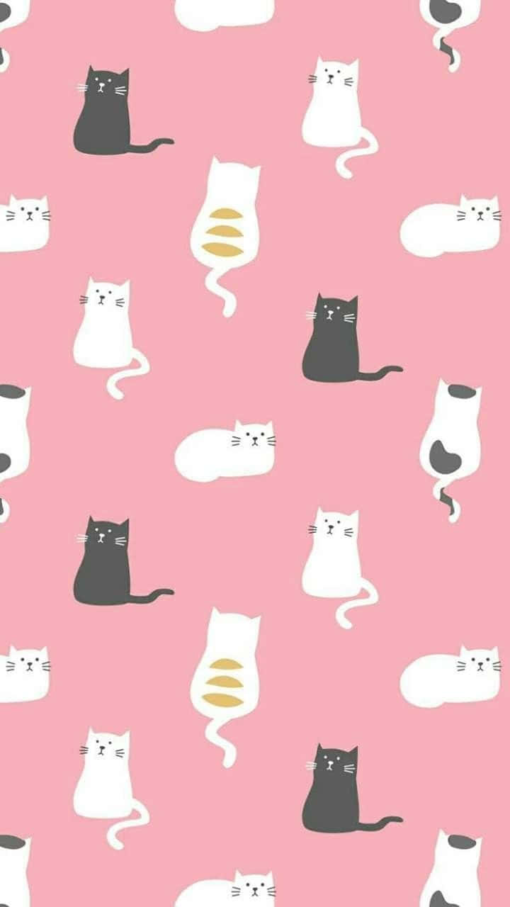 A Cute Cat Pattern For All Cat Lovers Background