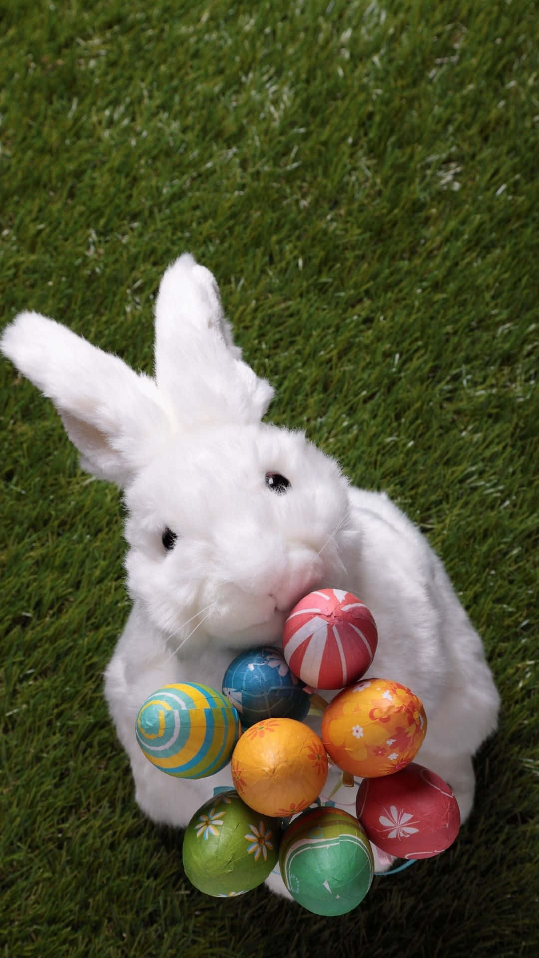 A Cute Easter Bunny Just In Time For The Holiday