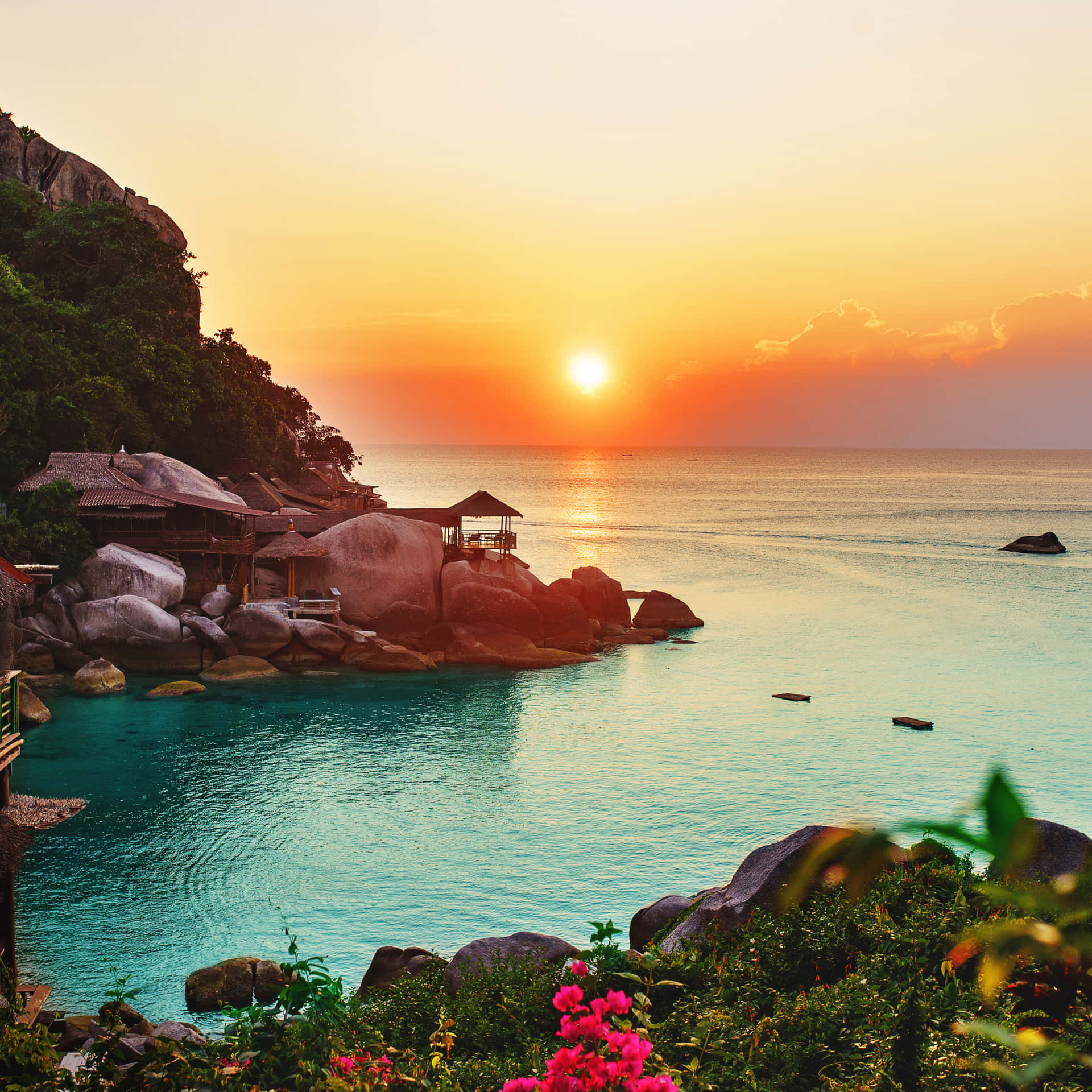 A Cute, Happy Sea Creature Admiring The Beauty Of Its Natural Aquatic Environment. Background