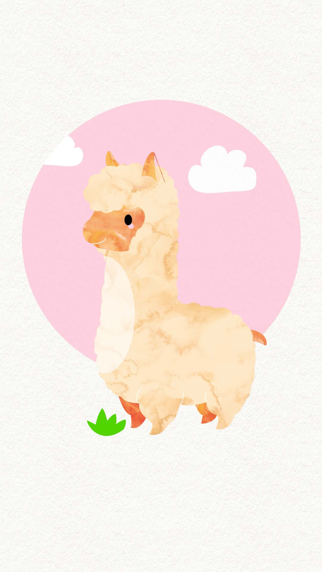 A Cute Llama In Full Fluff Background