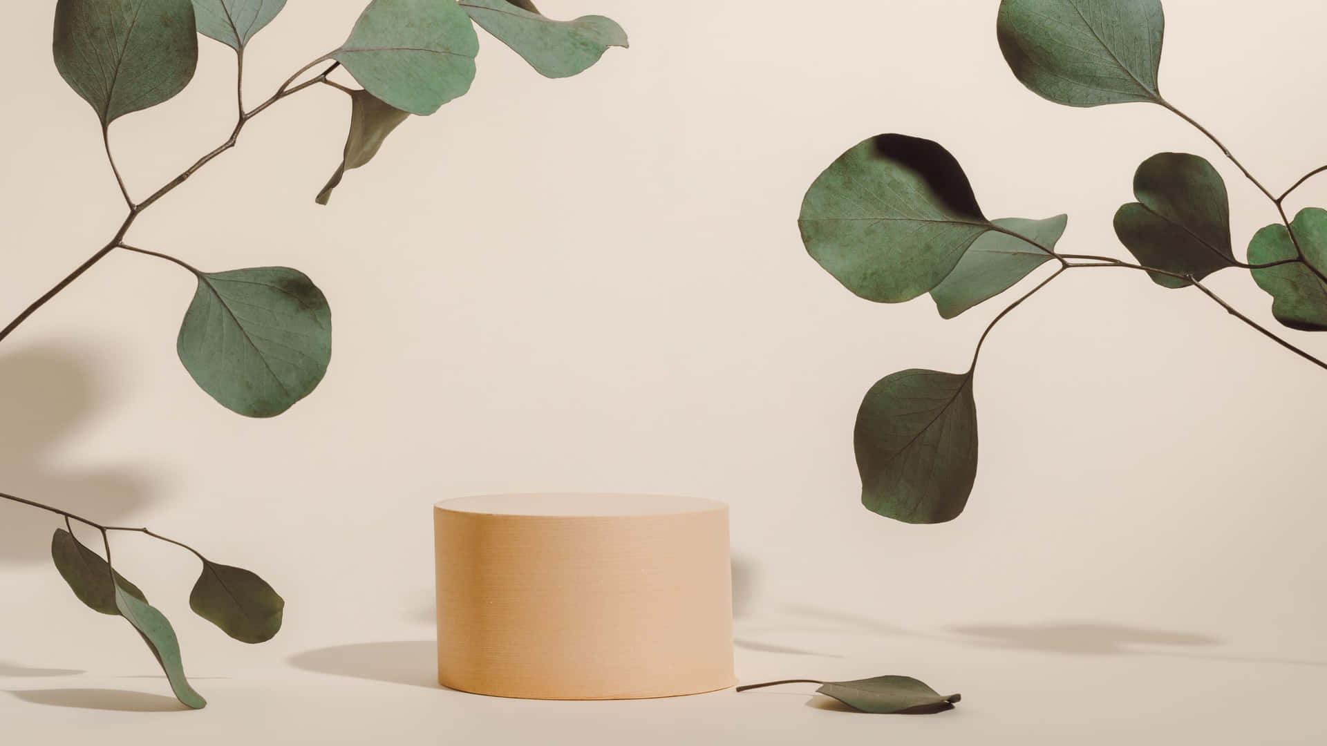 A Cylinder With Eucalyptus Leaves On It Background
