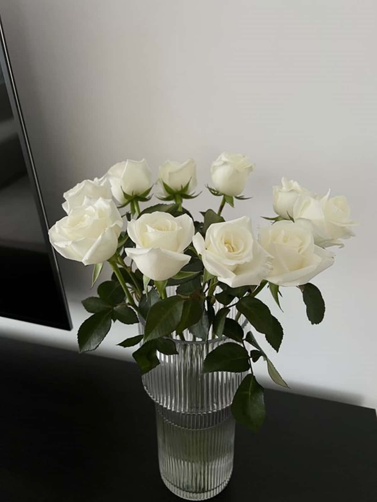 A Dainty White Rose Showing Its Beauty And Elegance.