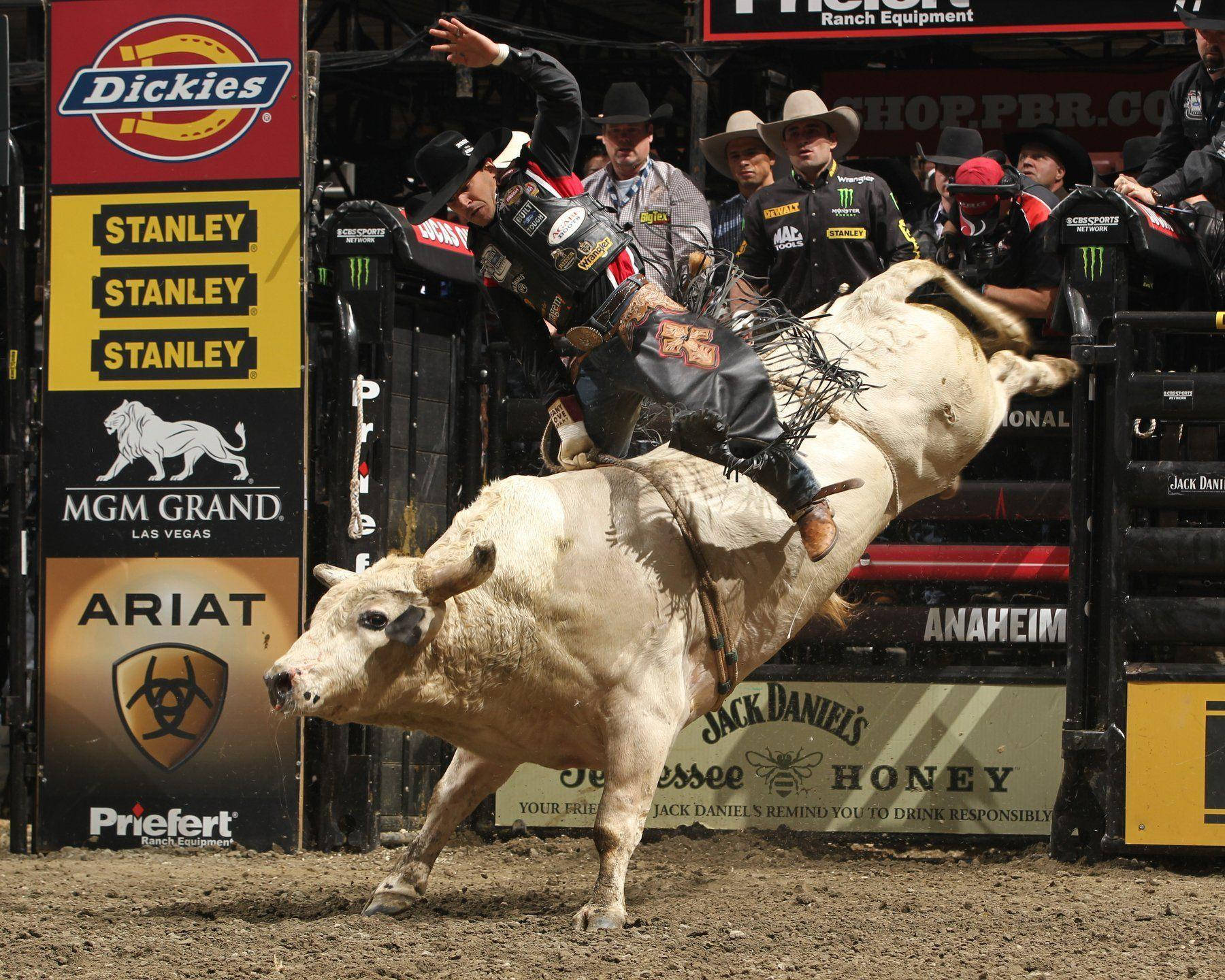 A Daredevil Bull Rider Shows Their Fearlessness And Skill Atop A Raging Bull. Background