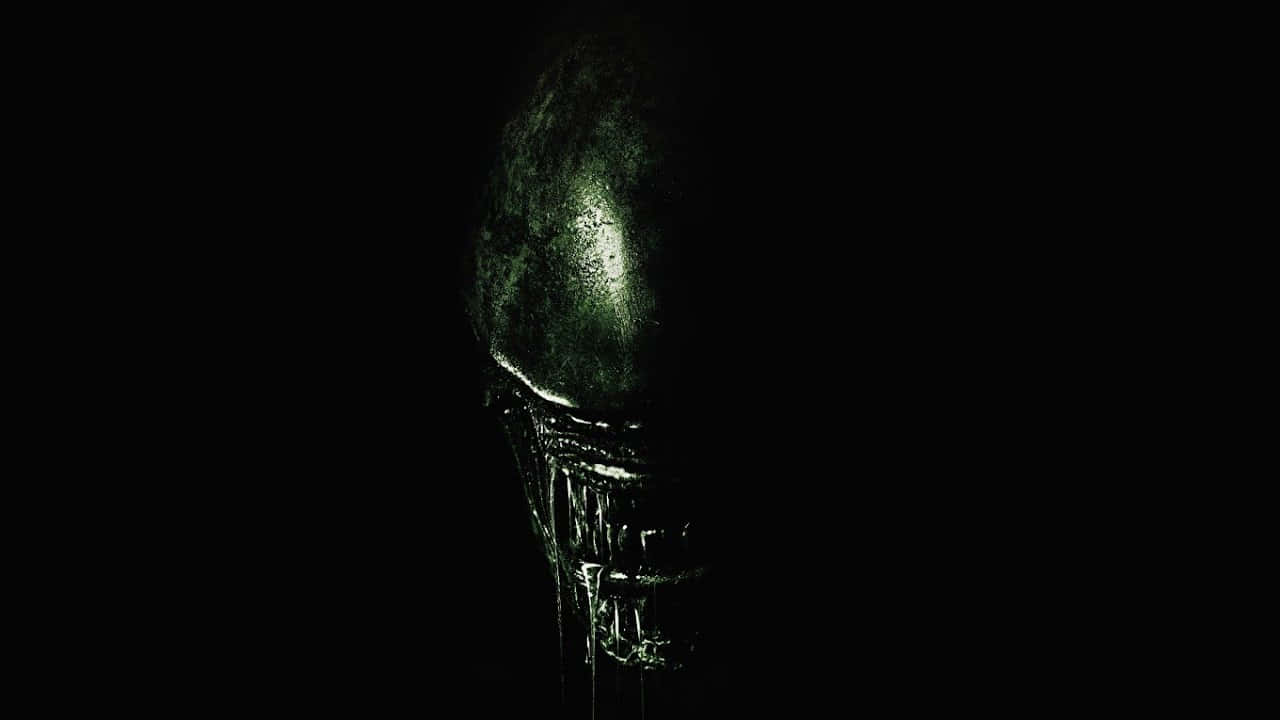 A Dark And Mysterious Alien 4k Wallpaper Background