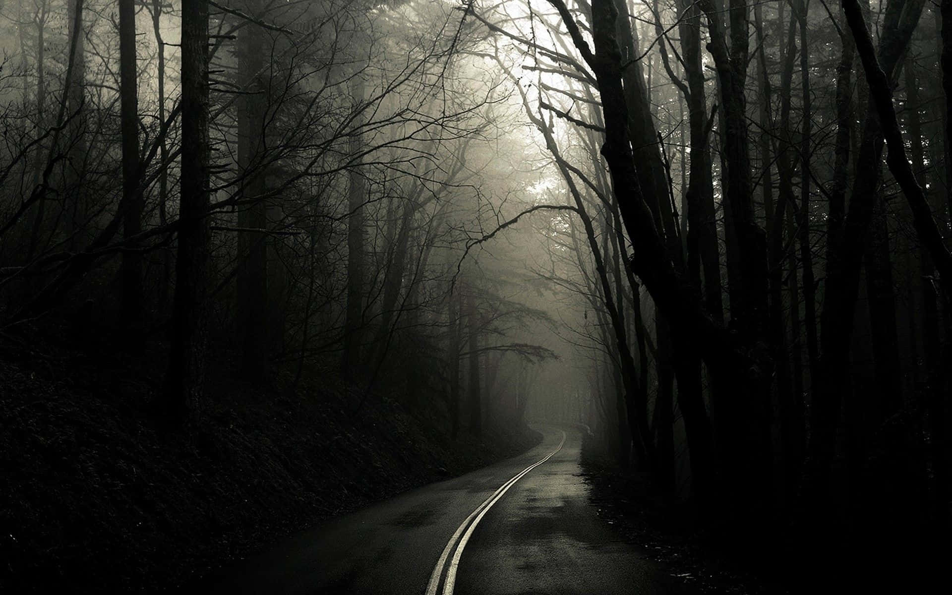 A Dark And Mysterious Fog Creeps Along The Edge Of The Woods. Background