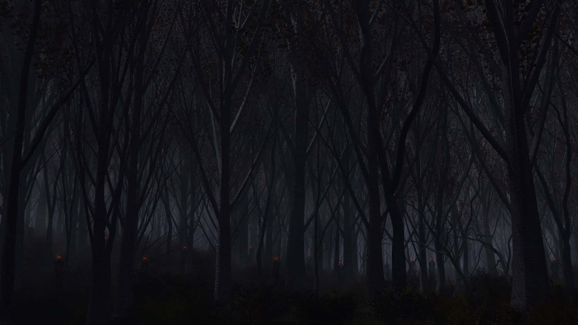 A Dark Forest With Trees And A Lamp Background