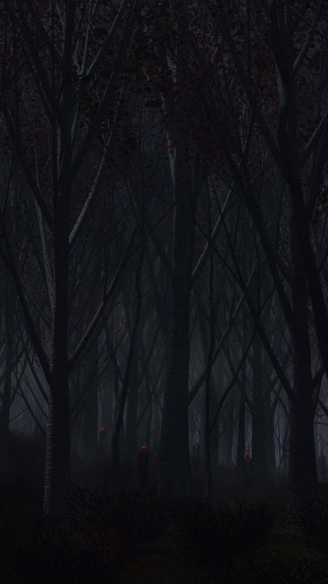 A Dark Forest With Trees And A Lamp Background