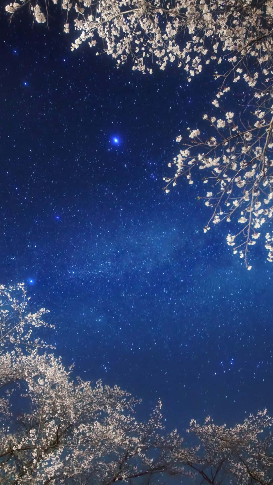 A Dazzling Expanse Of Lights In The Night Sky Background