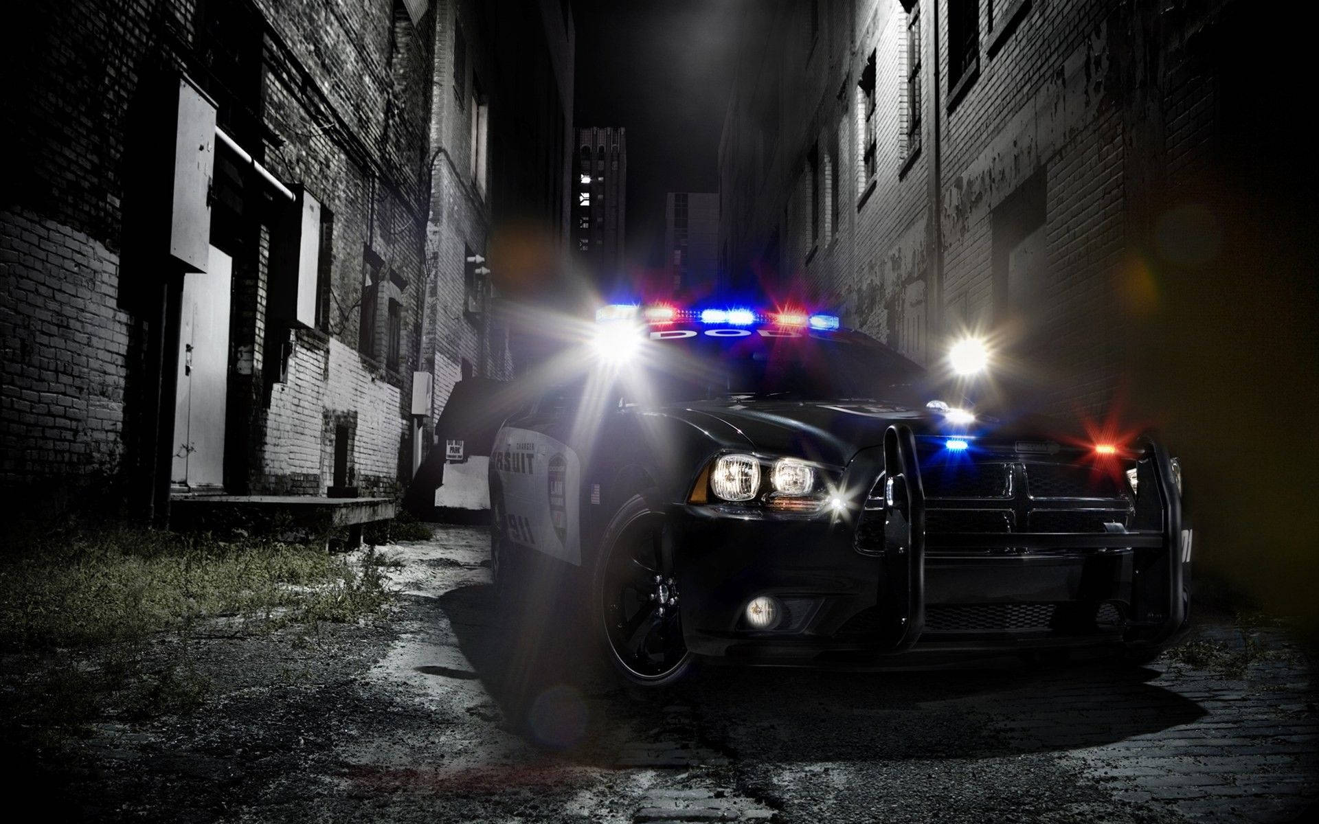 A Dedicated Police Officer Next To His Patrol Car Background