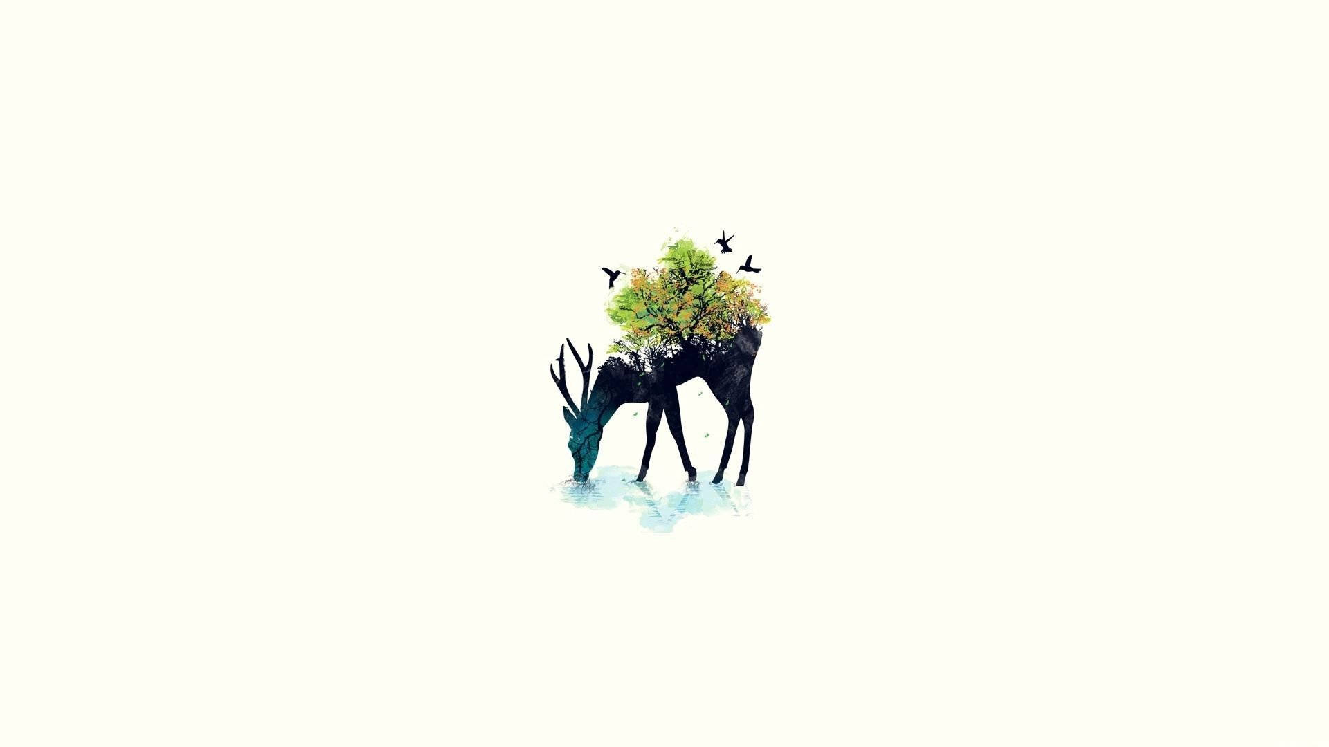 A Deer As A Minimalist Nature Background