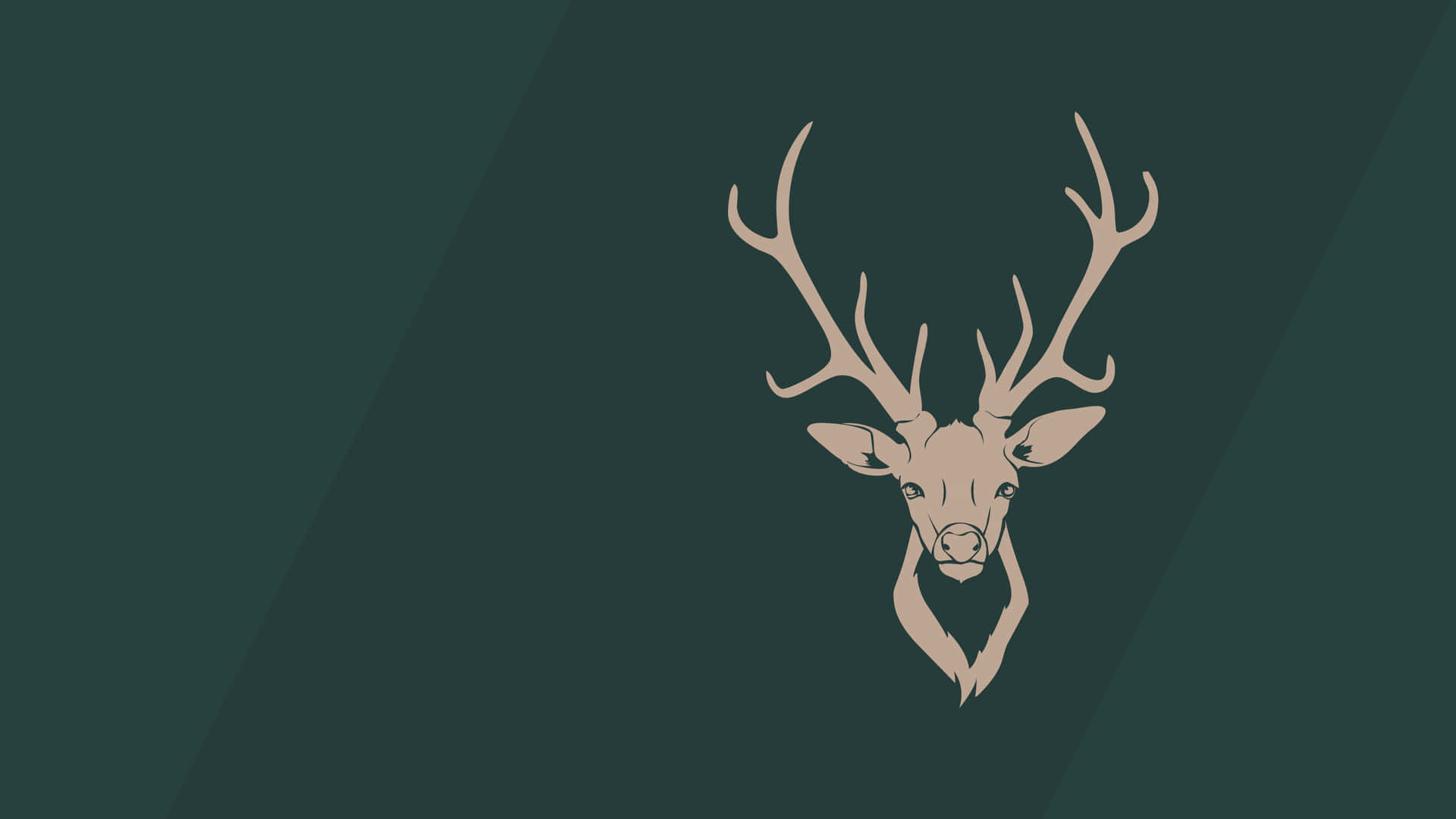 A Deer Head On A Green Background Background