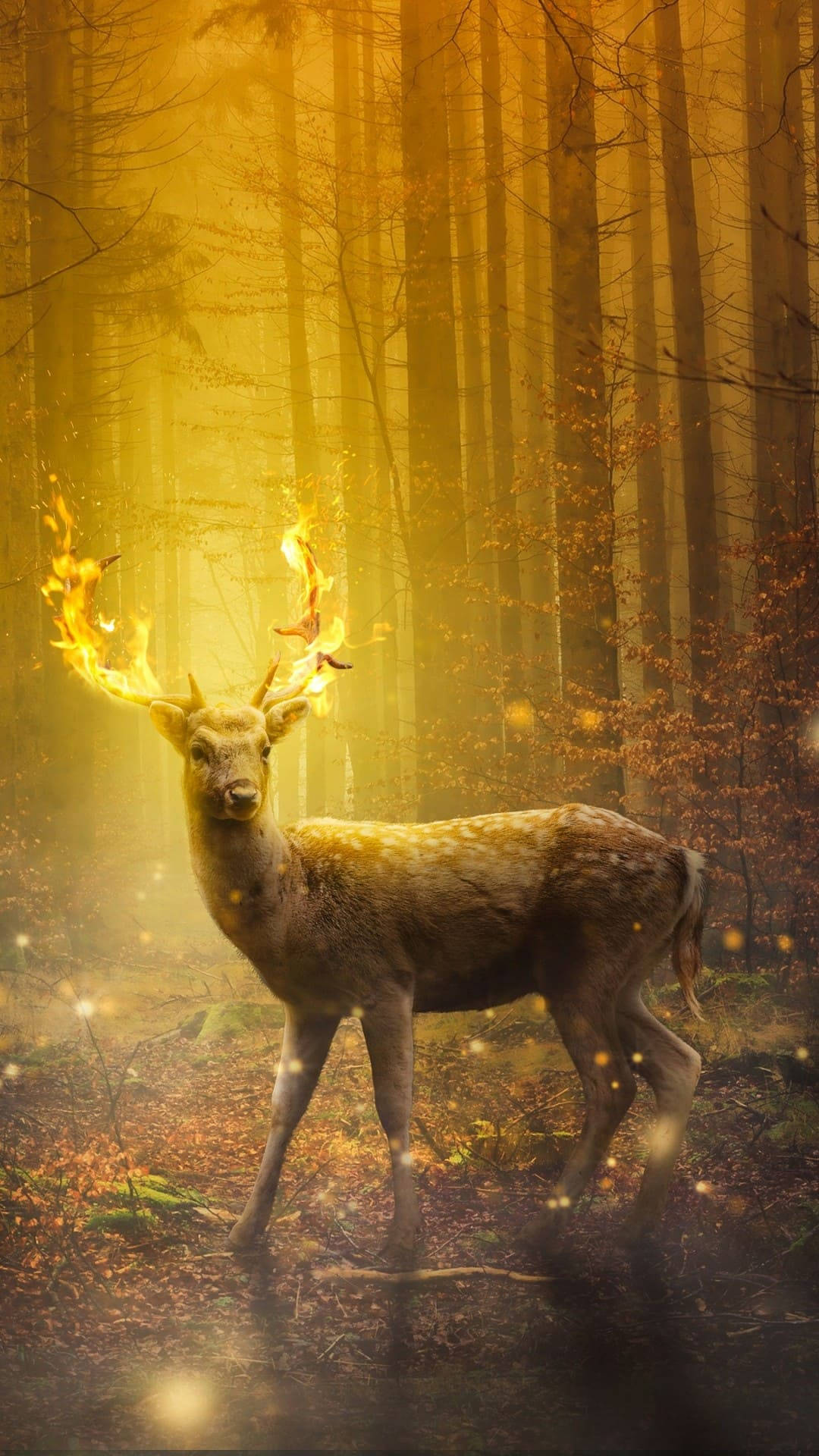 A Deer In The Forest With Fire In Its Antlers Background