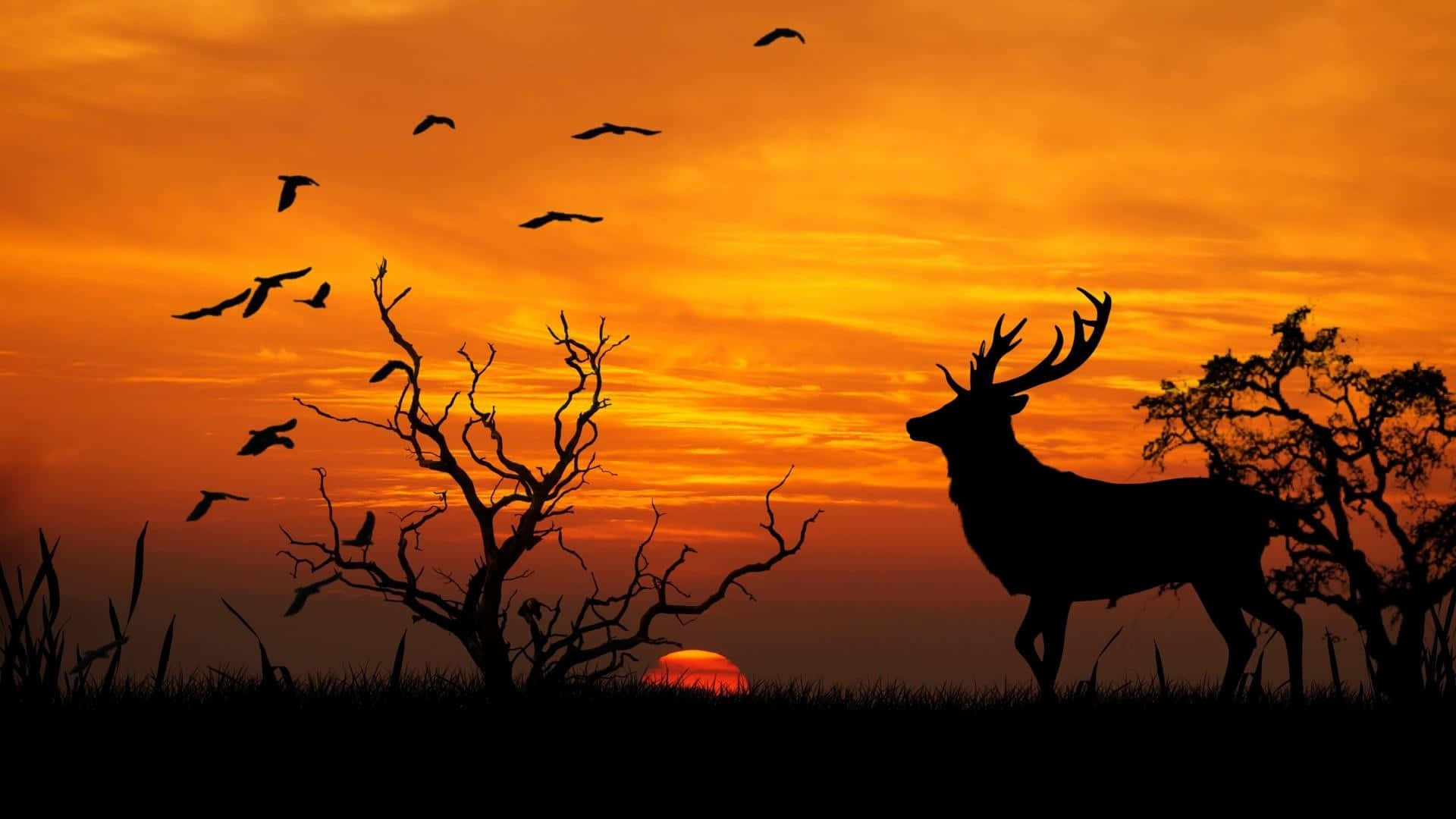 A Deer Standing Vigil In The Woods Background