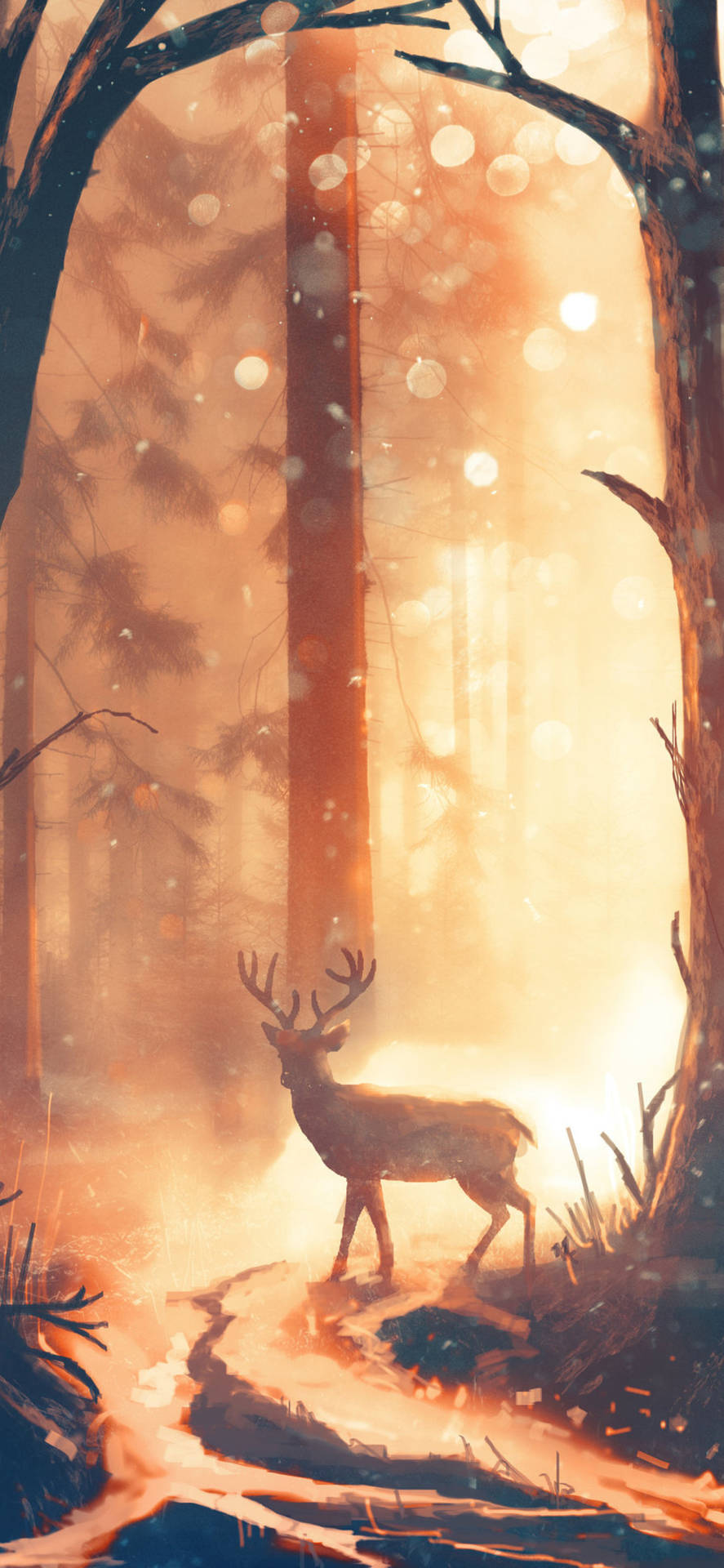 A Deer Walking Through The Forest At Sunset Background